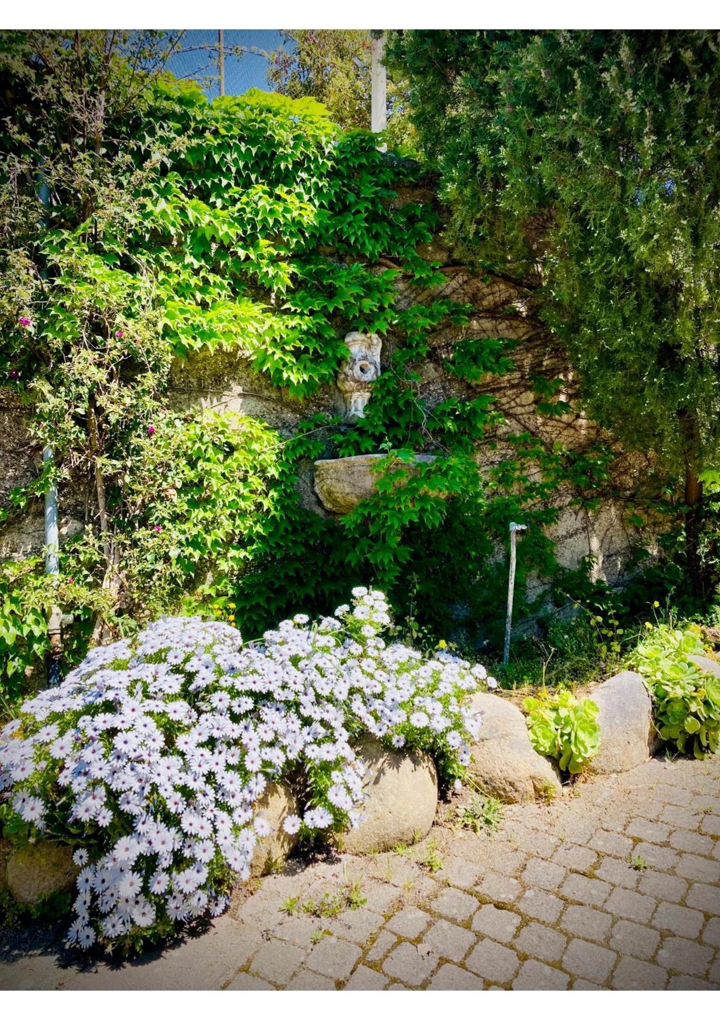 Villa Scilla E Cariddi Messina Kültér fotó