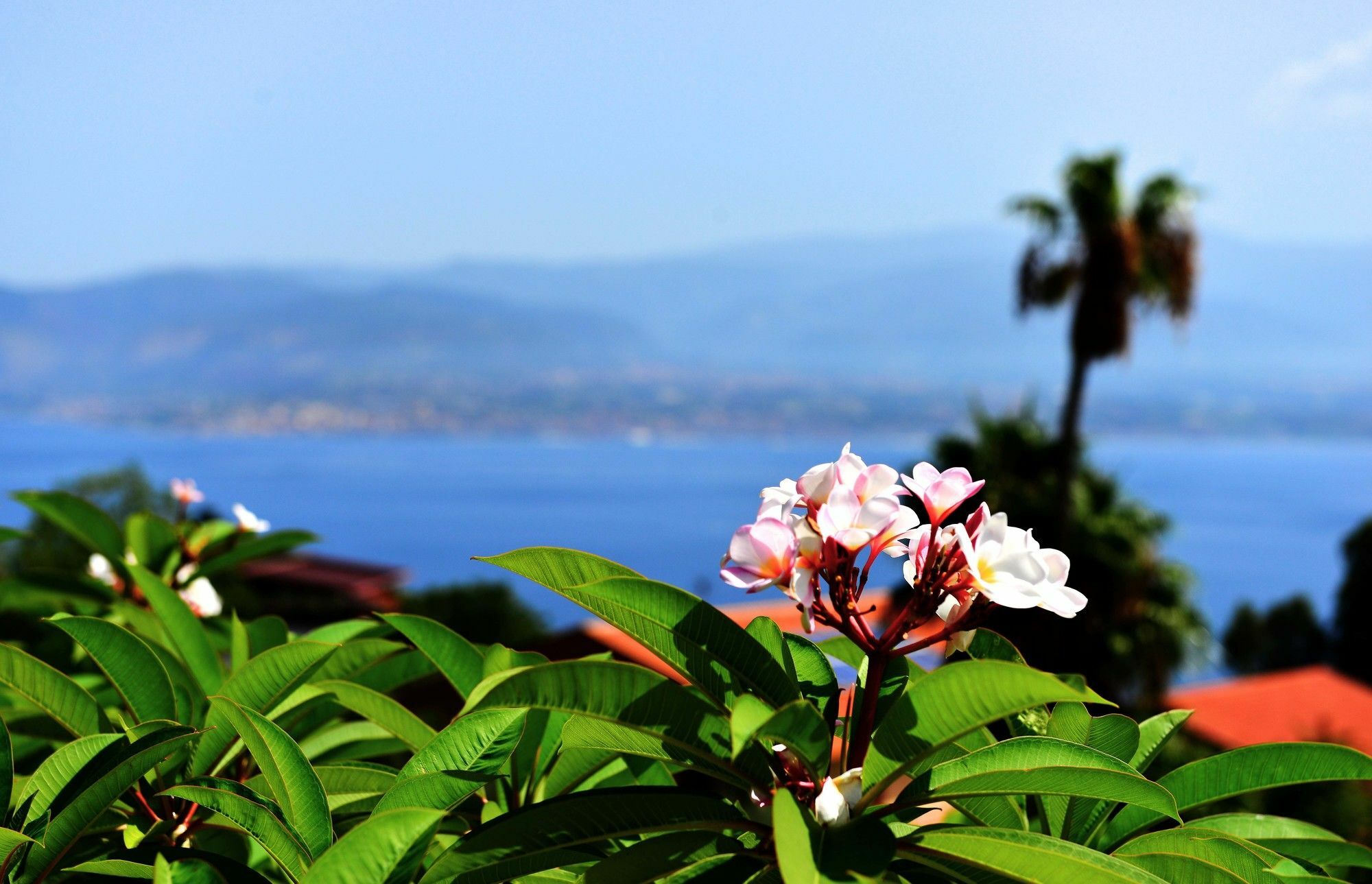 Villa Scilla E Cariddi Messina Kültér fotó